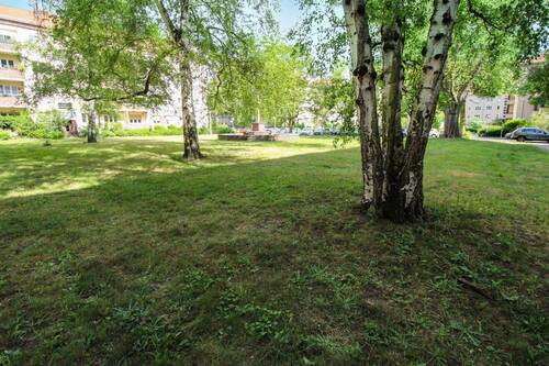 Gemeinschaftsgarten (2) - 