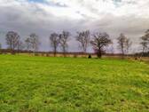 Weideland - Grundstück in Worpswede