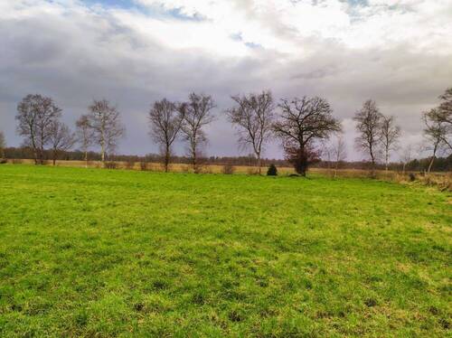 Weideland - Grundstück in Worpswede