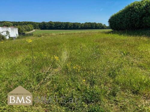 Bild 2 - Grundstück zum Kaufen in Ferschweiler