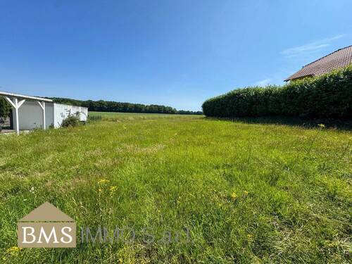 Bild 3 - Grundstück in Ferschweiler