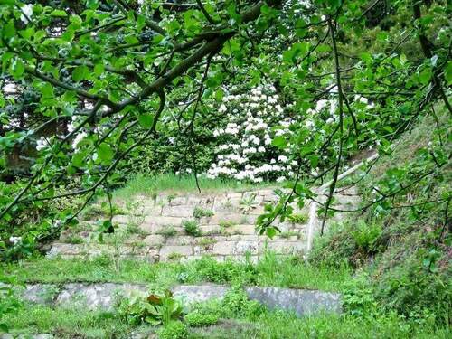 Blick auf den Hang (1) - Grundstück in Dresden zum Kaufen
