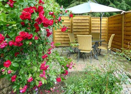 Genießen vorprogrammiert - 