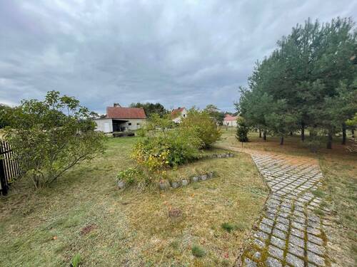 Blick vom Garten - 