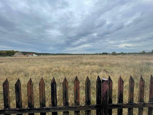 Blick in die Ferne - 