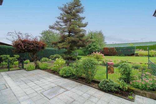 Terrasse - Einfamilienhaus mit 322,00 m² in Driedorf zum Kaufen
