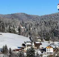 Charming Boutique aparthotel with private luxury apartment surrounded by Nature and tranquility - Todtmoos Schwarzenbach