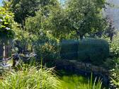 Garten mit Teich - 