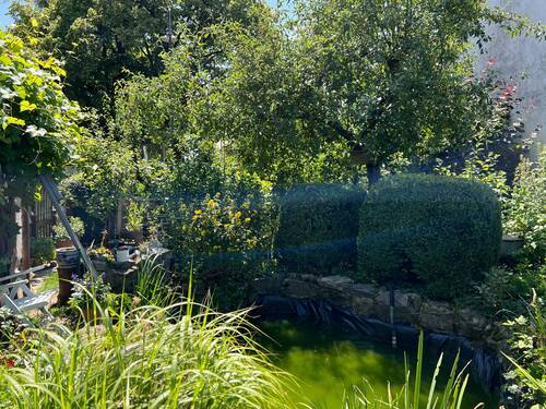Garten mit Teich - 