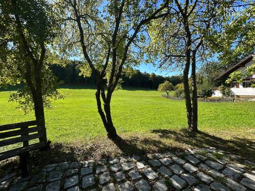 Bild 2 - Grundstück zum Kaufen in Traitsching