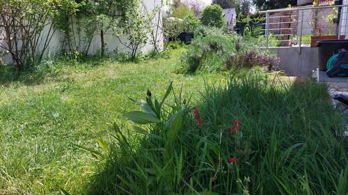 Garten - 