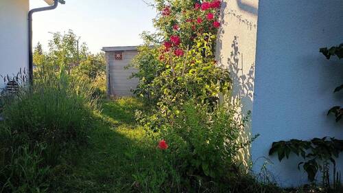 Eindruck Garten - 4 Zimmer Doppelhaushälfte in München
