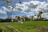 Umgebungsfoto - 