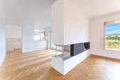 Panorama-Kamin - 