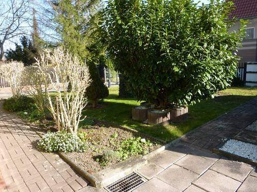 25002-2.jpg - 3 Zimmer Mehrfamilienhaus, Wohnhaus zum Kaufen in Weißenfels