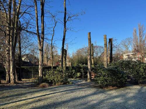 Gemeinschaftsgarten - 