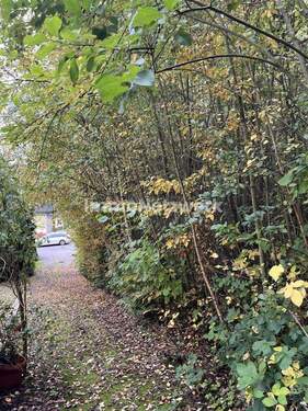 Grundstücksgrenze - 