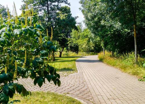 Stadtpark ganz in ihrer Nähe - 