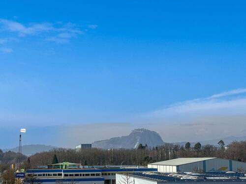 Ausblick auf den Hohentwiel - 