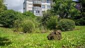 Aussenanlage - 
