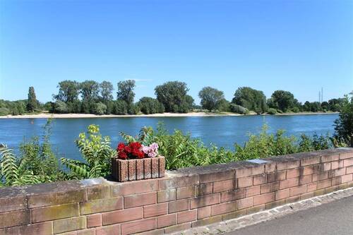 Rhein vor der Haustür - 