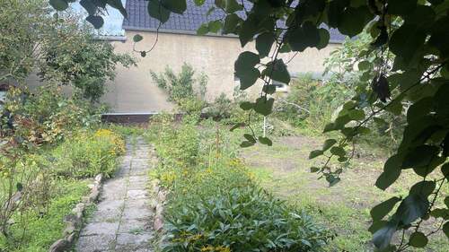 Blick in den Garten - 