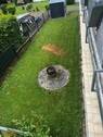 Blick in den Garten - 