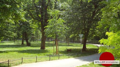 Wunderbares Johannis! - 