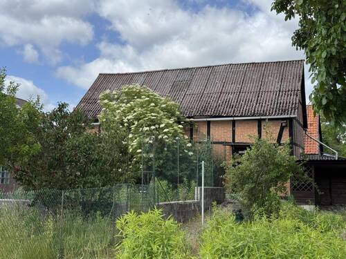 Blick vom Garten - 