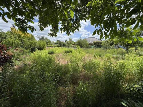 Gartenansicht - 