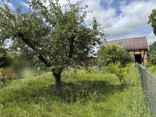 Gartenansicht - 