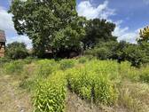 Gartenansicht - 
