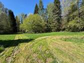 IMG_5270 - 
