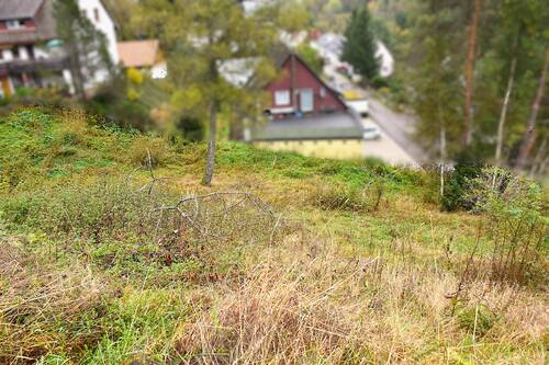 Ansicht von oben - Grundstück in Titisee-Neustadt