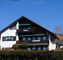Top MFH mit Panorama-Schluchseeblick und drei lukrativ vermieteten 