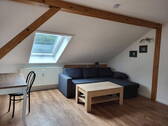 Dackfenster mit Verdunkelung - 