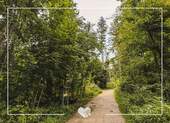 Umgebung - 