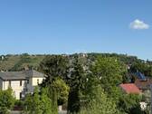 Weinberge Radebeuls - 