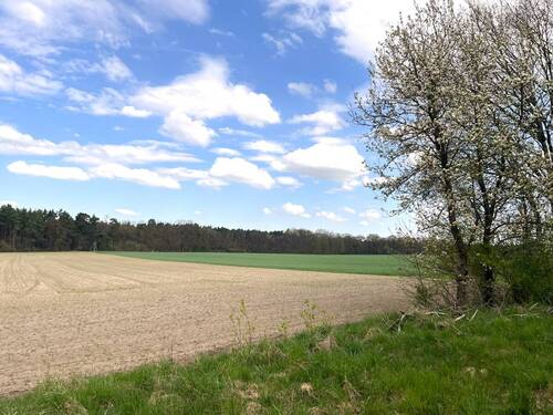 Umgebung geprägt von Wiesen und Feldern - Grundstück in Alt Golm / Rietz Neuendorf