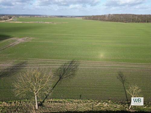 Ansicht gegenüber - Großes Baugrundstück in Eversdorf - VB
