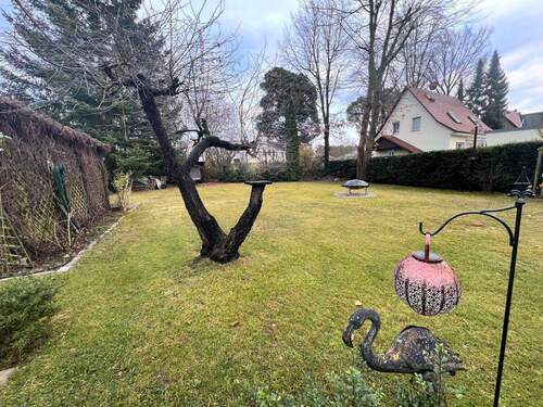 Blick in den Garten - Grundstück in Bad Saarow