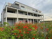 Bild 1 - 2,5-Zimmer Gartenwohnung nahe historischen Stadtzentrum