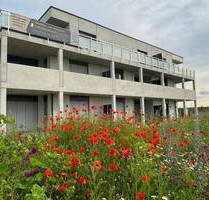 2,5-Zimmer Gartenwohnung nahe historischen Stadtzentrum - Uffenheim