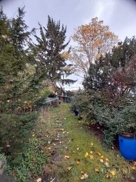 Gartenansicht - Mehrfamilienhaus, Wohnhaus mit 198,00 m&sup2; in Haßloch zum Kaufen