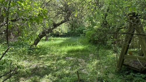 Vorgarten - 