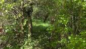 Alte Torportal - 