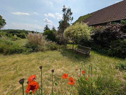 PXL_20250531_100708728.jpg - 