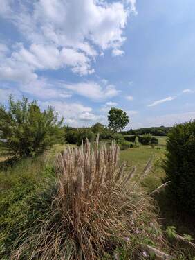 PXL_20250531_100734330.jpg - 