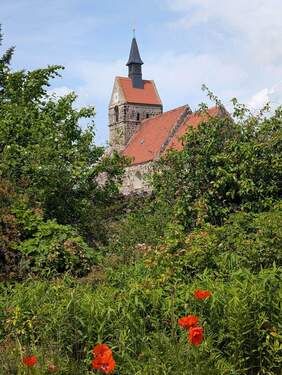 PXL_20250531_100803211.jpg - 