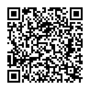 QR-Code - 